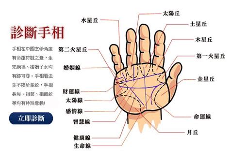 右手掌纹代表了什么_右手掌纹路图解,第2张