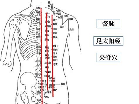 女人少见的极富贵痣眉里藏珠_女人少见的极富贵痣图片,第22张