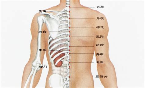 后背脊柱中间长痣代表什么_后脊柱中间有痣是什么意义,第2张