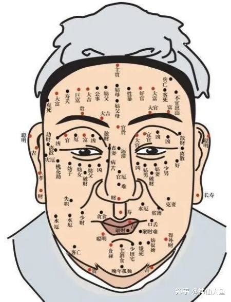 善痣恶痣有哪些区别_怎么区分痣是善痣还是恶痣,第12张 善痣恶痣有哪些区别_怎么区分痣是善痣还是恶痣,第12张