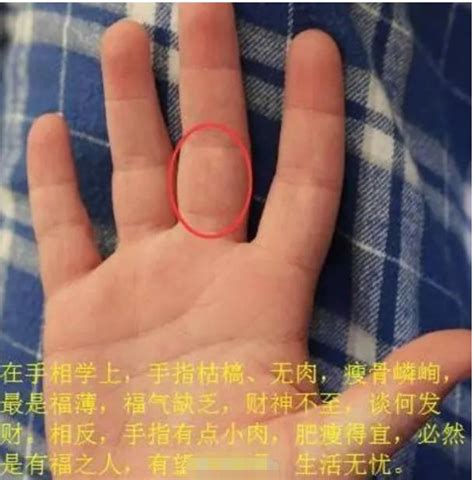 手心大三角纹是坏还是好_手心大三角纹是什么意思,第6张