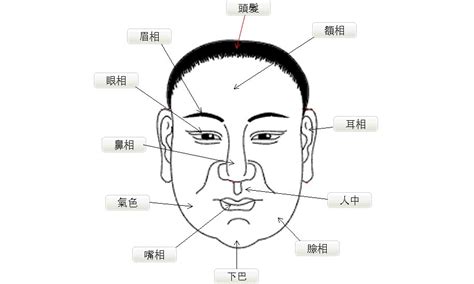 天庭饱满的男人面相_天庭饱满的男人好不好,第24张