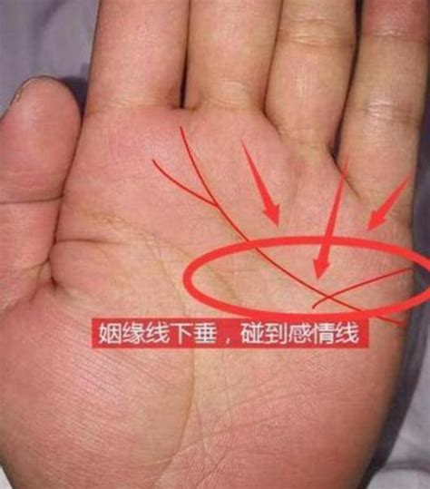 婚姻线是哪一条怎么看_婚姻线详解,第4张