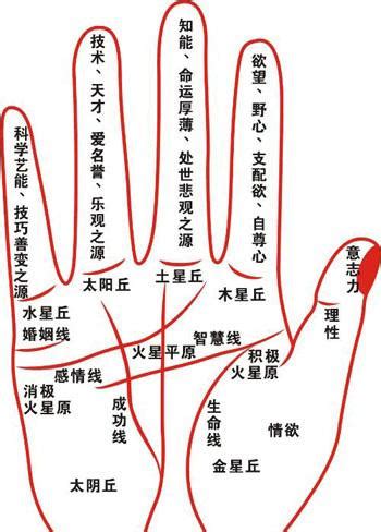 事业线图解女右手_断掌事业线图解女右手,第18张 事业线图解女右手_断掌事业线图解女右手,第18张