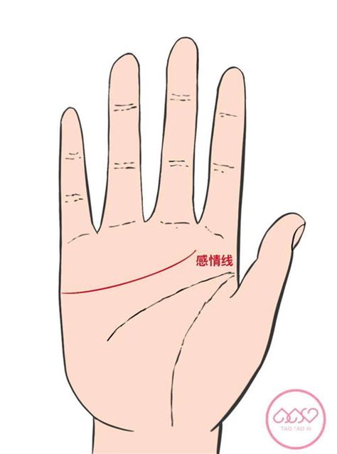 事业线图解女右手_断掌事业线图解女右手,第16张 事业线图解女右手_断掌事业线图解女右手,第16张