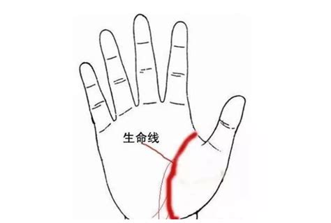 事业线图解女右手_断掌事业线图解女右手,第14张 事业线图解女右手_断掌事业线图解女右手,第14张