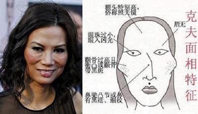 颧骨高狐狸眼的女人面相好不好_颧骨高狐狸眼的女人面相怎么样,第9张 颧骨高狐狸眼的女人面相好不好_颧骨高狐狸眼的女人面相怎么样,第9张