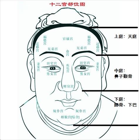 天庭饱满的男人面相_天庭饱满的男人好不好,第12张