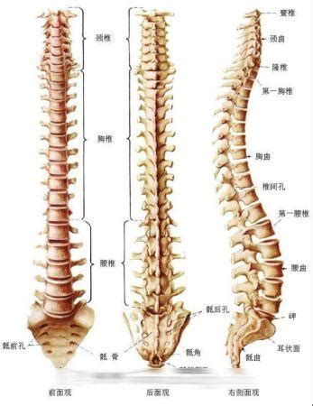 胎记长在哪个部位最好_胎记长在哪里最好最有福气,第16张