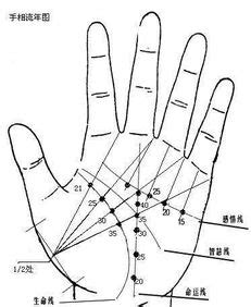 掌纹图解女右手详解川字纹_为什么不给川字掌算命,第11张