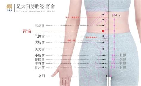 胎记在腰上命运如何_胎记在腰上是什么命,第3张