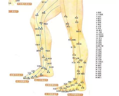 大腿上有胎记代表什么_大腿上有胎记好不好,第5张