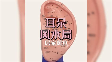 女生男相的是什么命_八字女生男相的是什么命,第11张