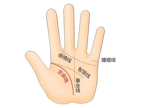 感情线末端分叉像树枝_感情线末端分叉是什么意思,第24张