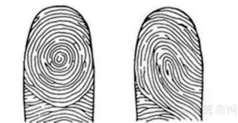 手指螺纹代表什么_手指螺纹一到十意义,第2张 手指螺纹代表什么_手指螺纹一到十意义,第2张