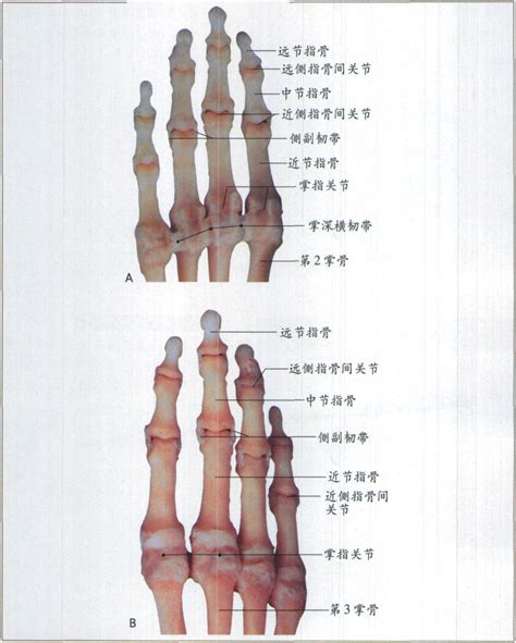 中晚年大富大贵手相是什么样的_中晚年发财的手相有什么特征,第5张