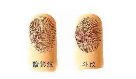 十个螺纹代表什么_十个螺纹代表什么意思,第13张