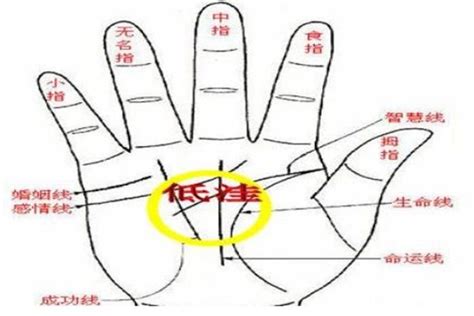 大富大贵的手相_大富大贵的手相特征,第21张 大富大贵的手相_大富大贵的手相特征,第21张