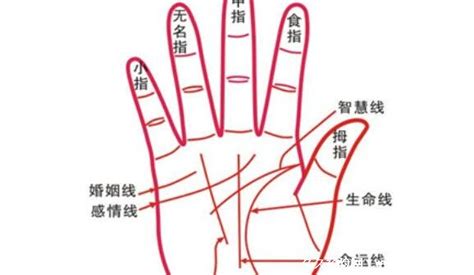 事业线图解女右手_断掌事业线图解女右手,第15张 事业线图解女右手_断掌事业线图解女右手,第15张