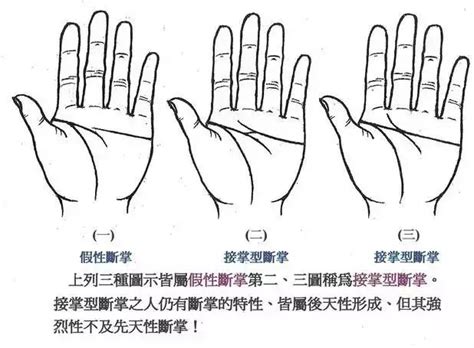 断掌纹的孩子有什么说法_双手断掌纹的孩子有什么说法,第5张 断掌纹的孩子有什么说法_双手断掌纹的孩子有什么说法,第5张