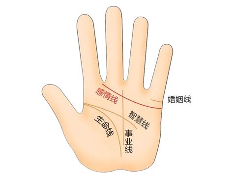 能享子女福的手相特征是什么_什么手相能享子女福,第6张 能享子女福的手相特征是什么_什么手相能享子女福,第6张