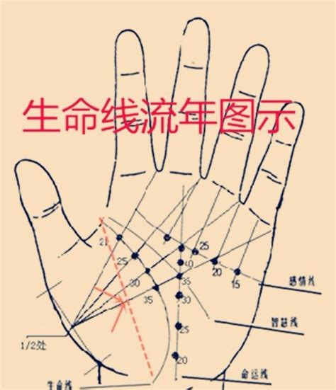 能享子女福的手相特征是什么_什么手相能享子女福,第3张 能享子女福的手相特征是什么_什么手相能享子女福,第3张