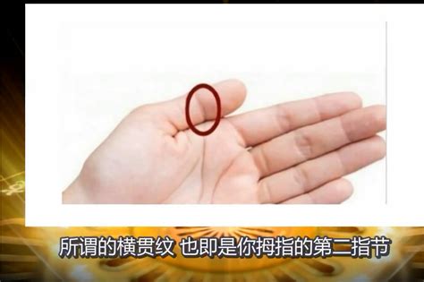 什么样的手相晚年特别好_什么手相的人晚年享福,第5张