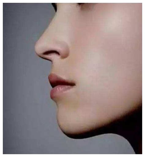 五种富贵鼻是哪五种_鼻子看相:五种富贵鼻,第8张 五种富贵鼻是哪五种_鼻子看相:五种富贵鼻,第8张