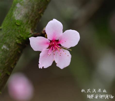 男人长美人痣好吗_男人长有美人痣好不好,第4张 男人长美人痣好吗_男人长有美人痣好不好,第4张