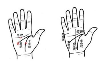 什么手相桃花运旺_哪些手相的人容易桃花旺,第5张