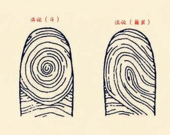 女的手上几个斗最好_女的手上几个斗最有财运,第13张 女的手上几个斗最好_女的手上几个斗最有财运,第13张