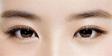 瑞凤眼的人命运如何_瑞凤眼的人是什么命,第9张 瑞凤眼的人命运如何_瑞凤眼的人是什么命,第9张