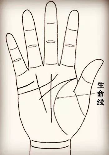 生命线_生命线断开错位,第3张 生命线_生命线断开错位,第3张