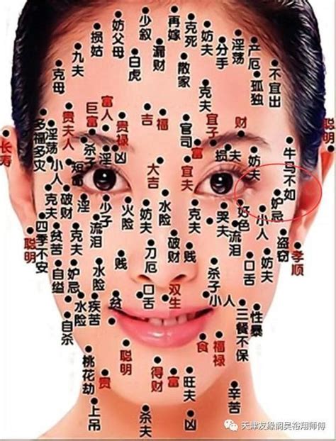 女孩下眼皮有痣好不好_女性左眼皮有痣好不好,第4张 女孩下眼皮有痣好不好_女性左眼皮有痣好不好,第4张