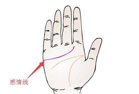 身上带仙看哪个手指_身上带仙看哪里,第3张 身上带仙看哪个手指_身上带仙看哪里,第3张