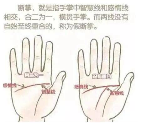 两只手都是断掌的男孩多吗_两只手都是断掌的男孩概率,第13张 两只手都是断掌的男孩多吗_两只手都是断掌的男孩概率,第13张