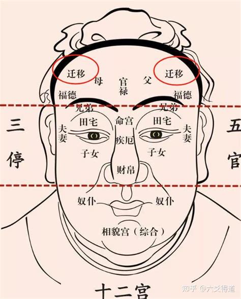 连心眉的男人好不好_连心眉的男人面相怎么样,第3张 连心眉的男人好不好_连心眉的男人面相怎么样,第3张