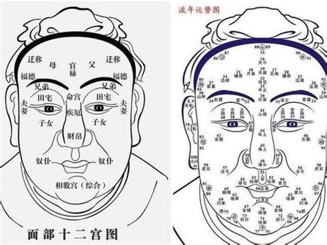 五种常见富贵相都有什么特征_常见的富贵相有哪些,第10张 五种常见富贵相都有什么特征_常见的富贵相有哪些,第10张