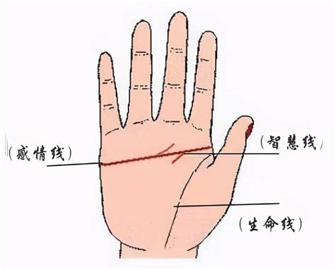 掌纹图解女右手详解_女人右掌手相图解,第2张 掌纹图解女右手详解_女人右掌手相图解,第2张
