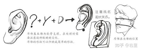 三种有福招财的耳朵是什么样子的_三种有福招财的耳朵,第22张