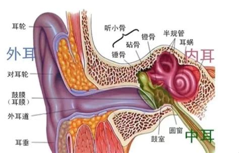 看面相怎么看财运好坏_面相如何看财运好不好,第11张