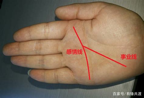 掌纹图解女右手详解_女人右掌手相图解,第3张 掌纹图解女右手详解_女人右掌手相图解,第3张