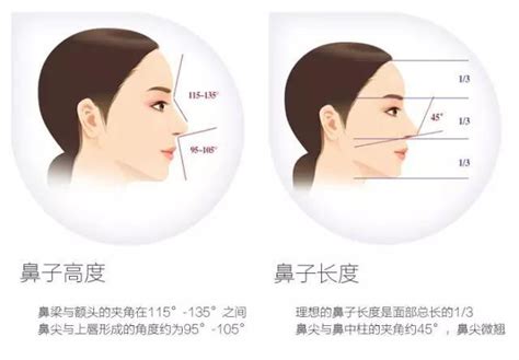 易成为女强人的面相长什么样_易成为女强人的面相有什么特征,第9张 易成为女强人的面相长什么样_易成为女强人的面相有什么特征,第9张