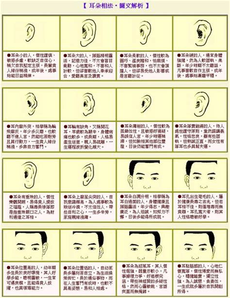 三种有福招财的耳朵是什么样子的_三种有福招财的耳朵,第19张