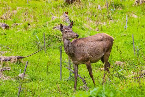 女人早死的面相_女人早死的面相特征,第26张 女人早死的面相_女人早死的面相特征,第26张