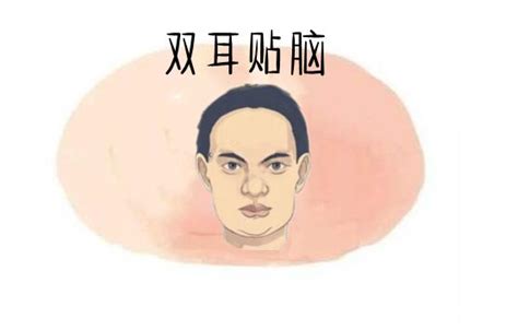三种有福招财的耳朵是什么样子的_三种有福招财的耳朵,第23张
