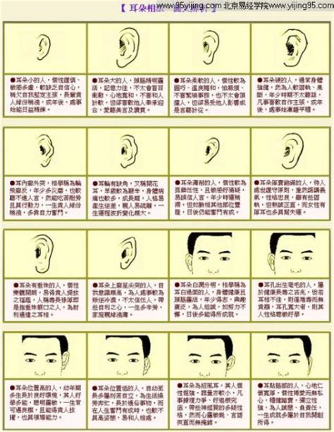 耳朵上的痣图解大全_耳朵上的痣图解大全对照表,第5张
