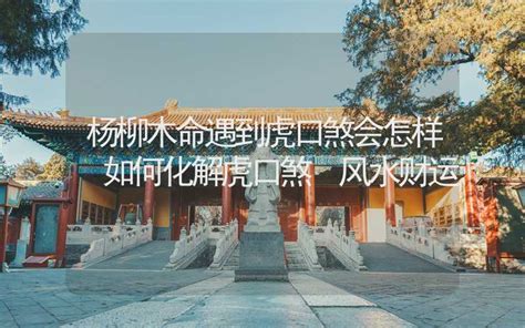 右手虎口有痣的女生姻缘_右手虎口有痣的女生跟左手虎口有痣的男生,第4张 右手虎口有痣的女生姻缘_右手虎口有痣的女生跟左手虎口有痣的男生,第4张