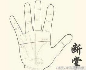 断掌纹的女人婚姻怎么样_断掌纹的女人会克丈夫吗,第11张 断掌纹的女人婚姻怎么样_断掌纹的女人会克丈夫吗,第11张