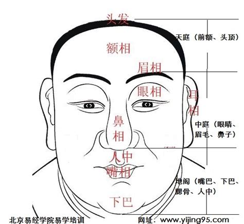 先穷后富的面相特征是什么_什么样的面相先穷后富呢,第8张